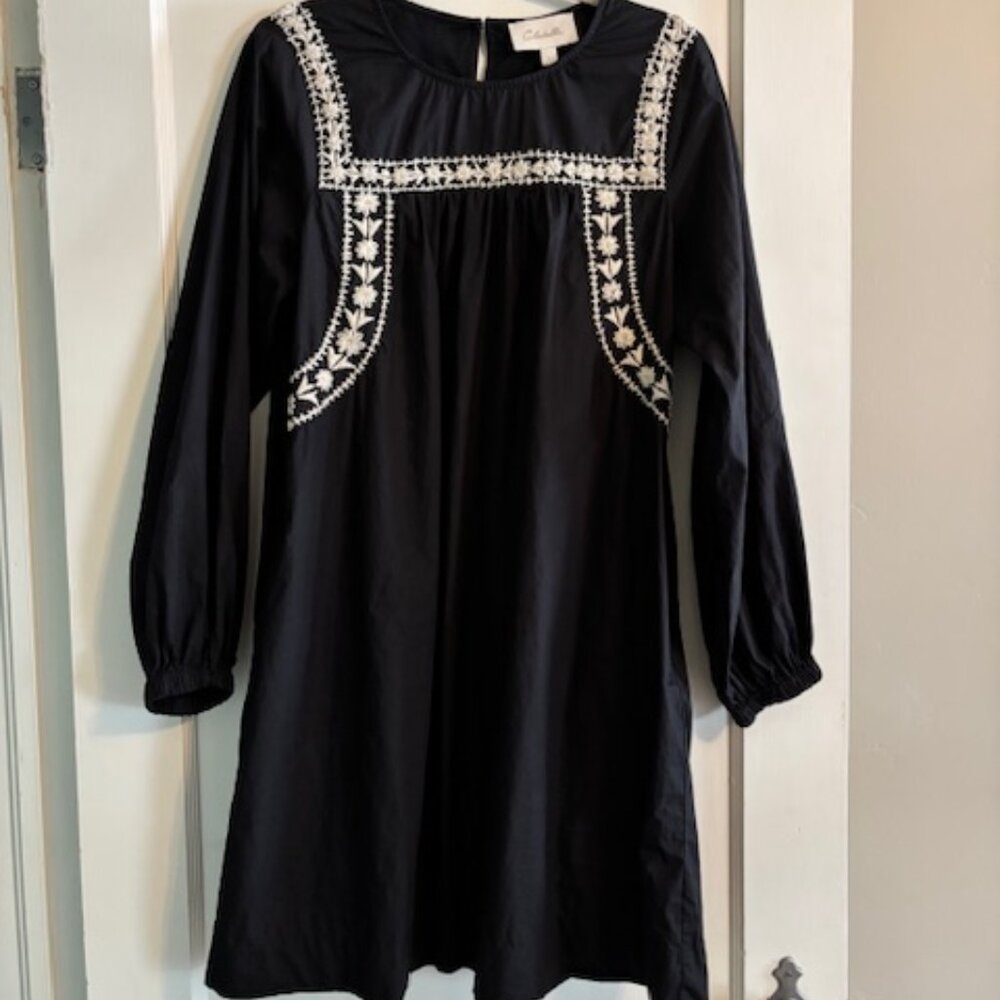 Embroidered dress or tunic